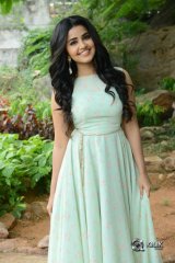 Anupama Parameswaran Interview about Vunnadhi Okate Zindagi Movie